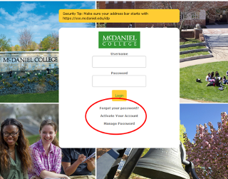 Mcdaniel blackboard shop